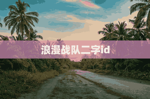 浪漫战队二字id